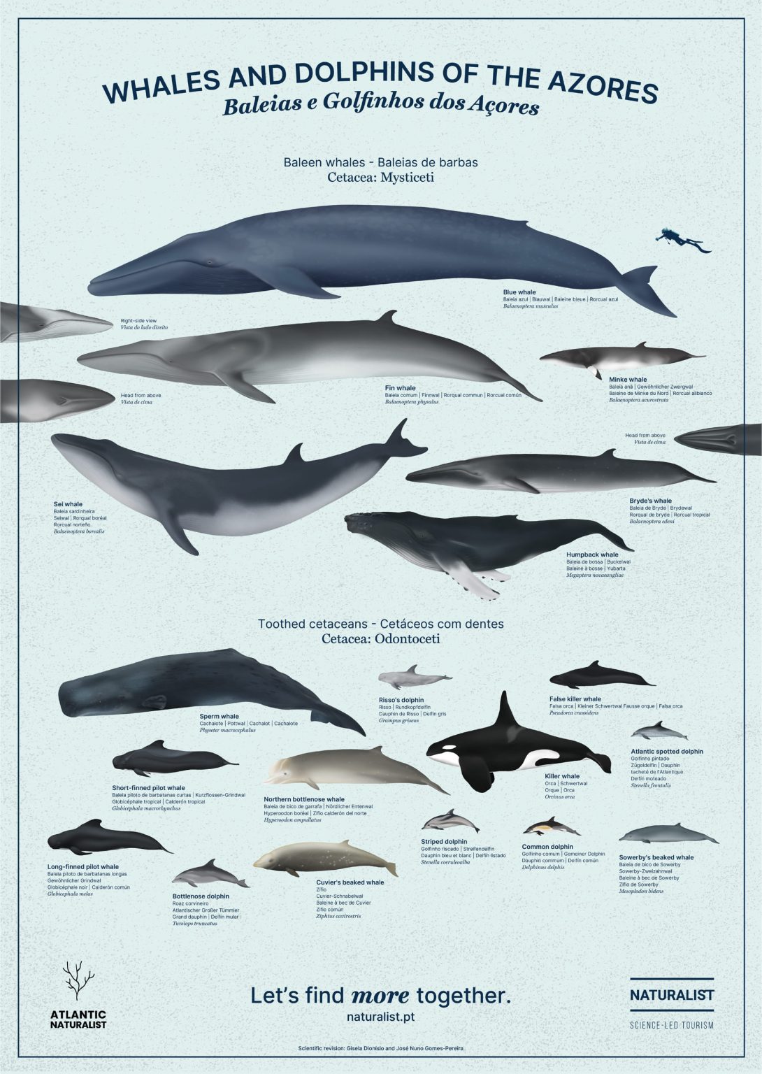 NATURALIST sciencecrunchers 1 3