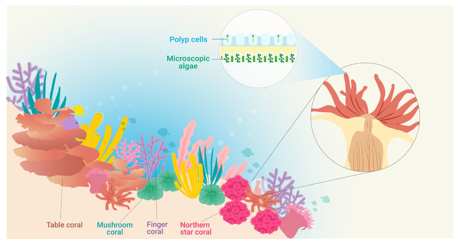 Principe do Monaco Microplastics e Noise pollution 2
