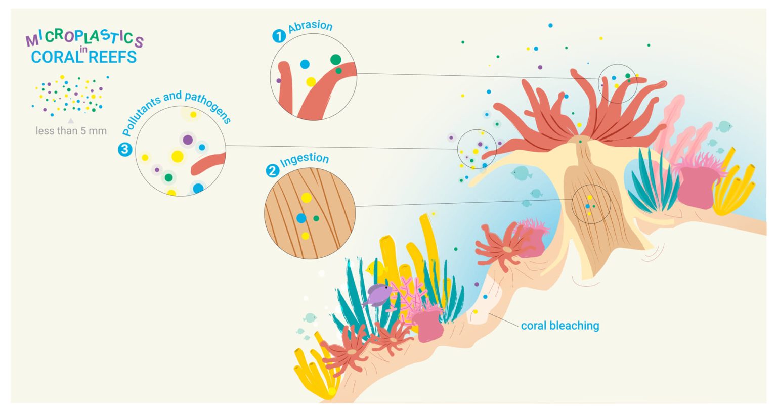 Principe do Monaco Microplastics e Noise pollution 3