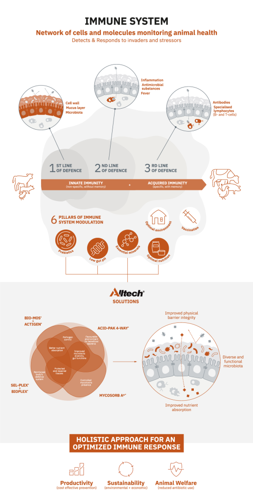 ALLTECH immune system