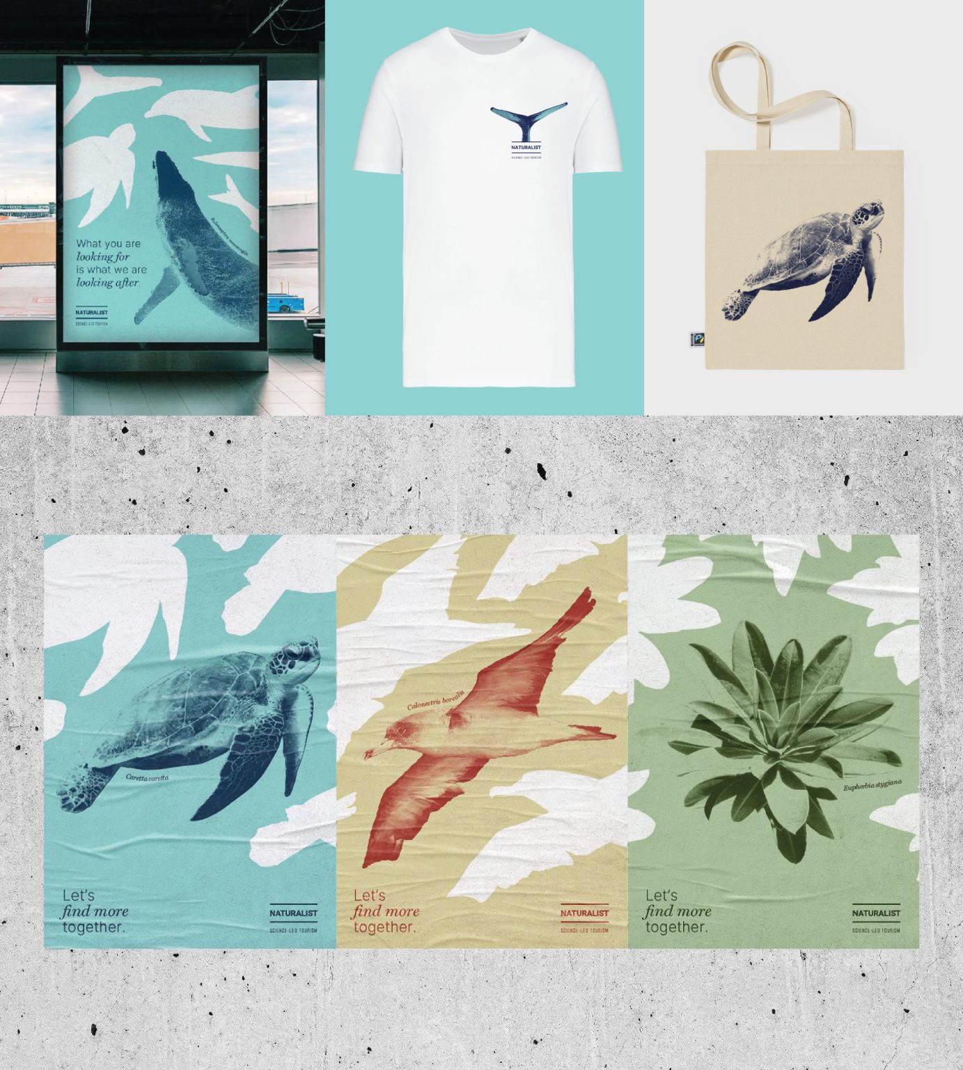 Printing materials NATURALIST