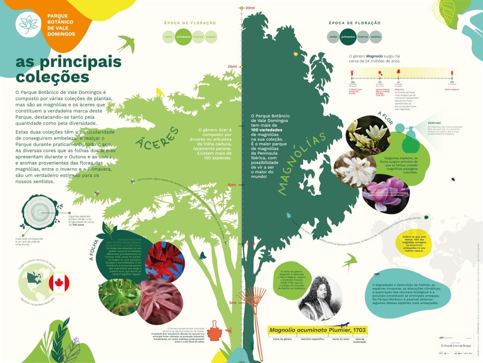 Quercus Painel Coleccoes 01