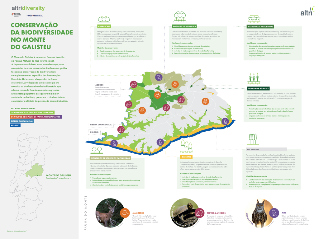 1 SC Website Altri web