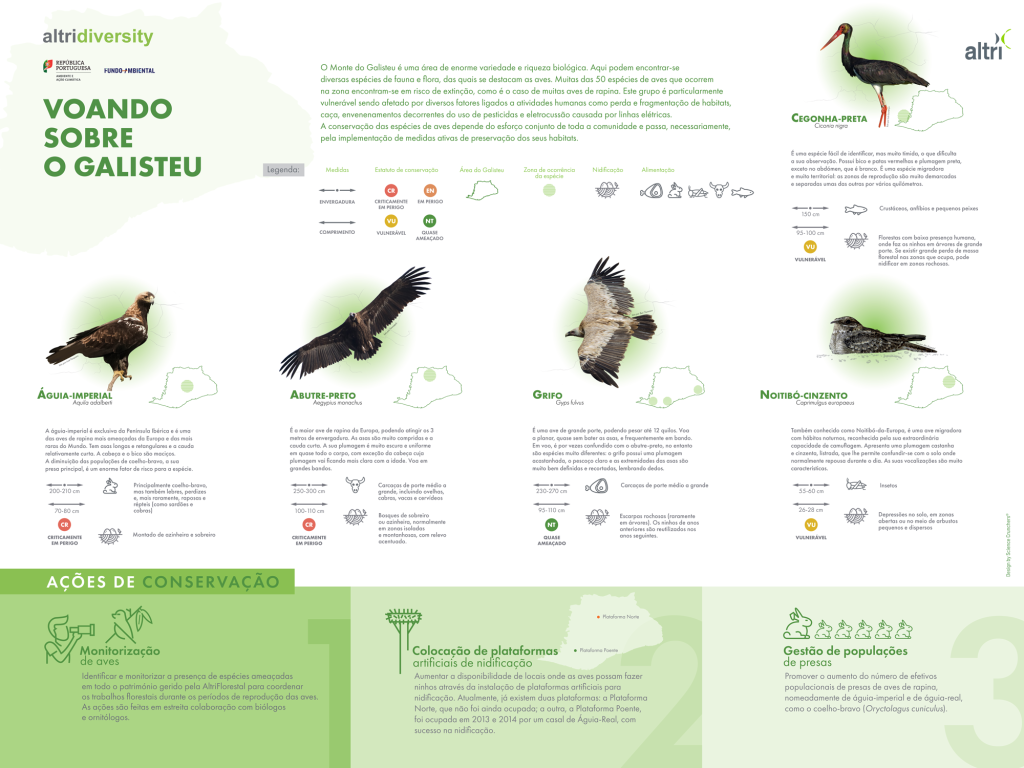 2 SC Website Altri web