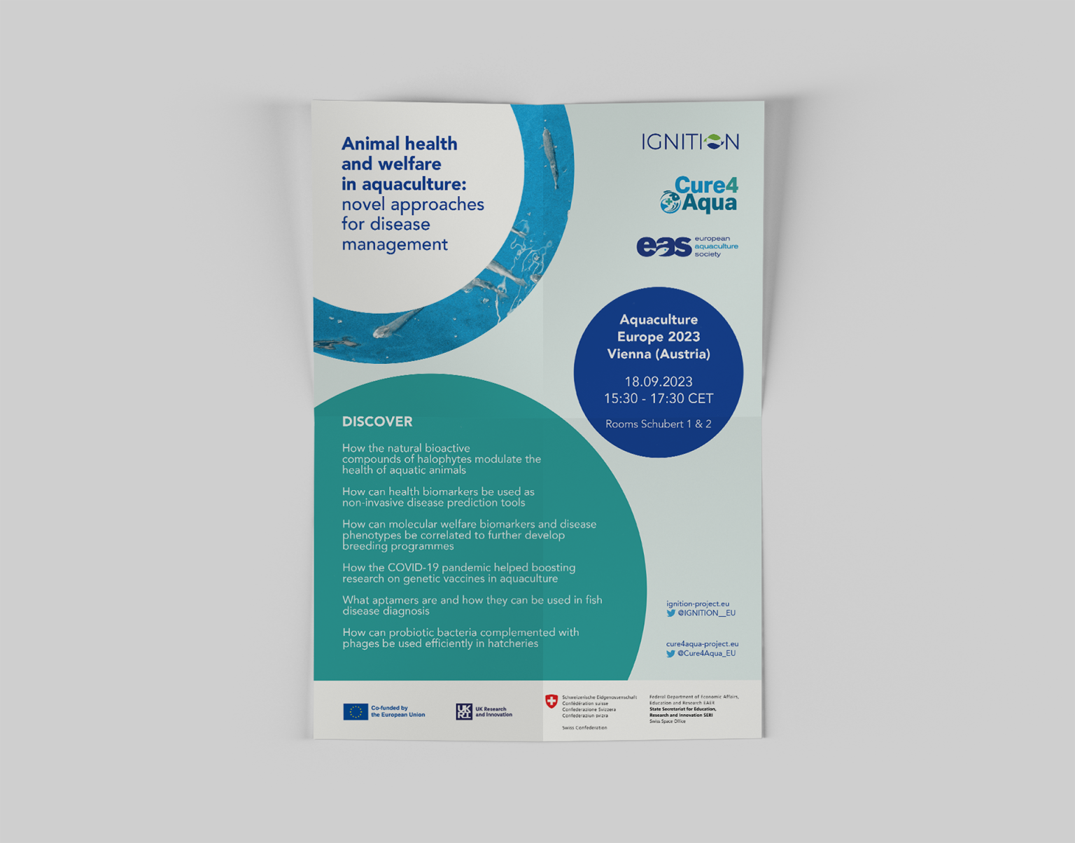 Flyer parceiros 1920