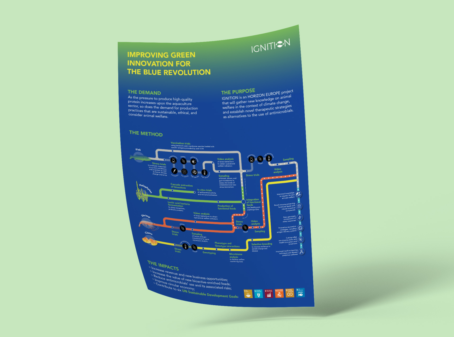 Ignition poster mockup 1920