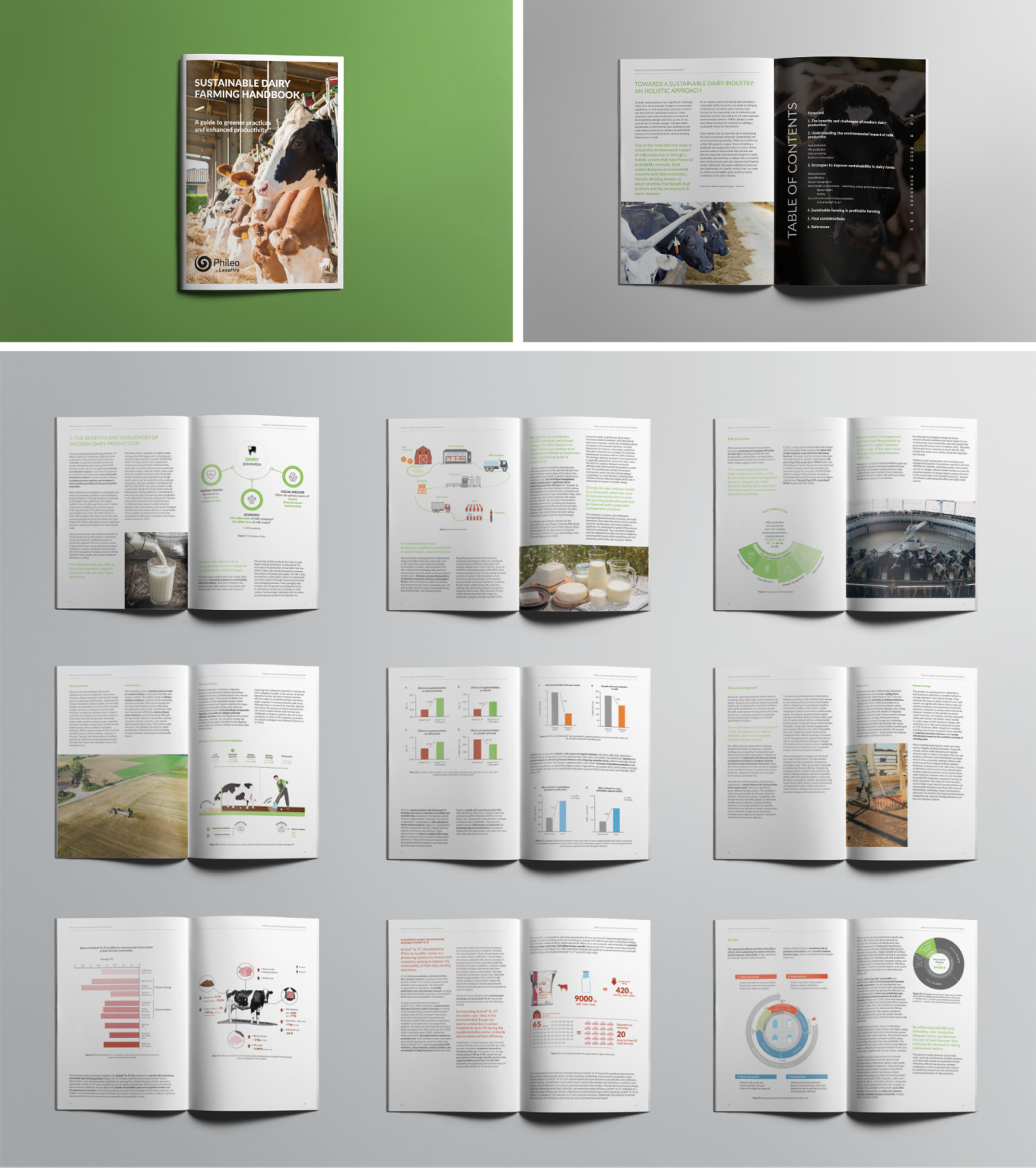 PHILEO editorial design