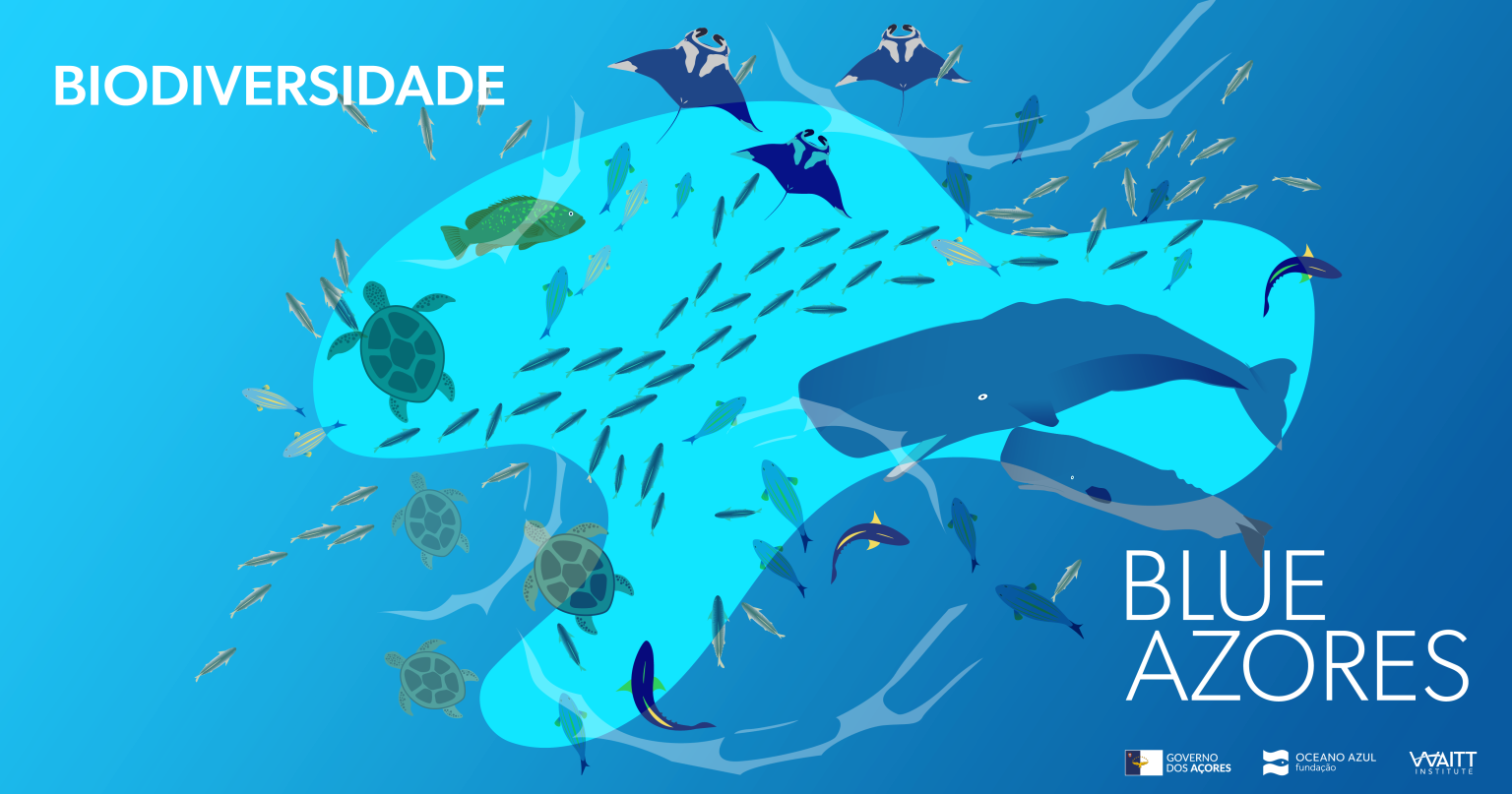 infografia BENEFICIOS 30.03.2022 WEB FACEBOOK 1200X630PX biodioversidade