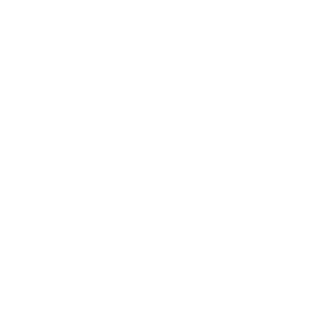 sea4future logo white